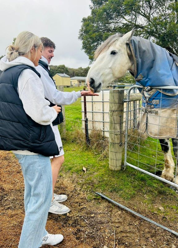 Josh and Hayley with Casper the horse